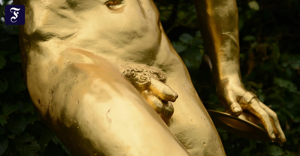 Penis-Bilder-im-Internet-Die-Macht-der-Schwellk-rper