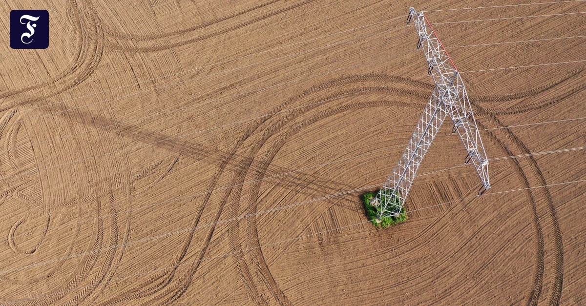 Energiewende-und-Strompreis-Reiche-will-Erneuerbare-st-rker-am-Bedarf-orientieren