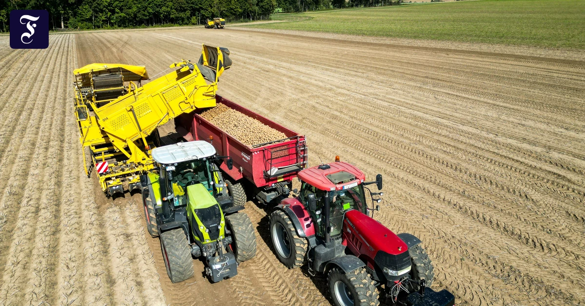 Hormus-Blockade-Bayer-Chef-warnt-vor-weltweiten-Ernteausf-llen