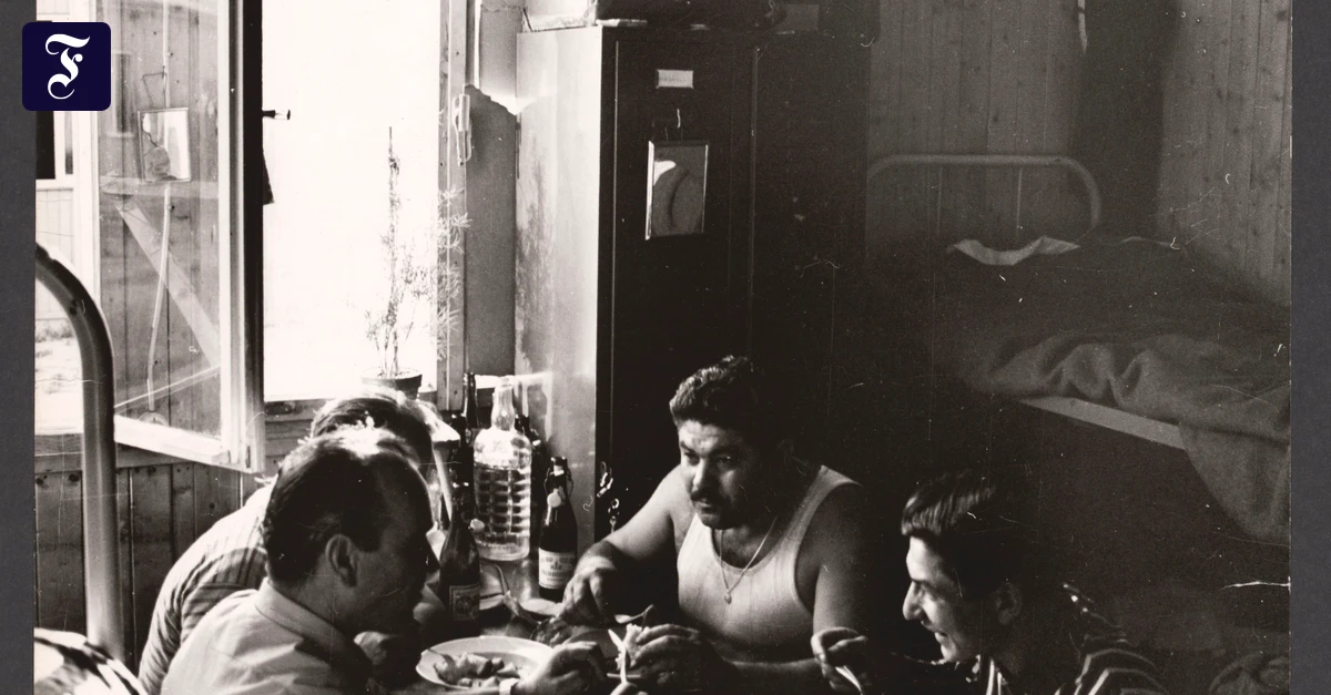 70 Jahre Gastarbeiter: Die ersten Europäer