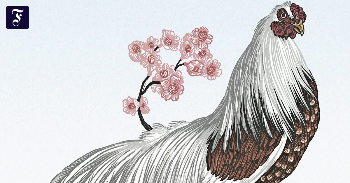 Kinderbuch über Hühner: Der Bielefelder ist ein prächtiger Typ