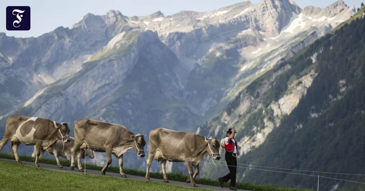 AfD: Would Heidi move in with Siegmund?