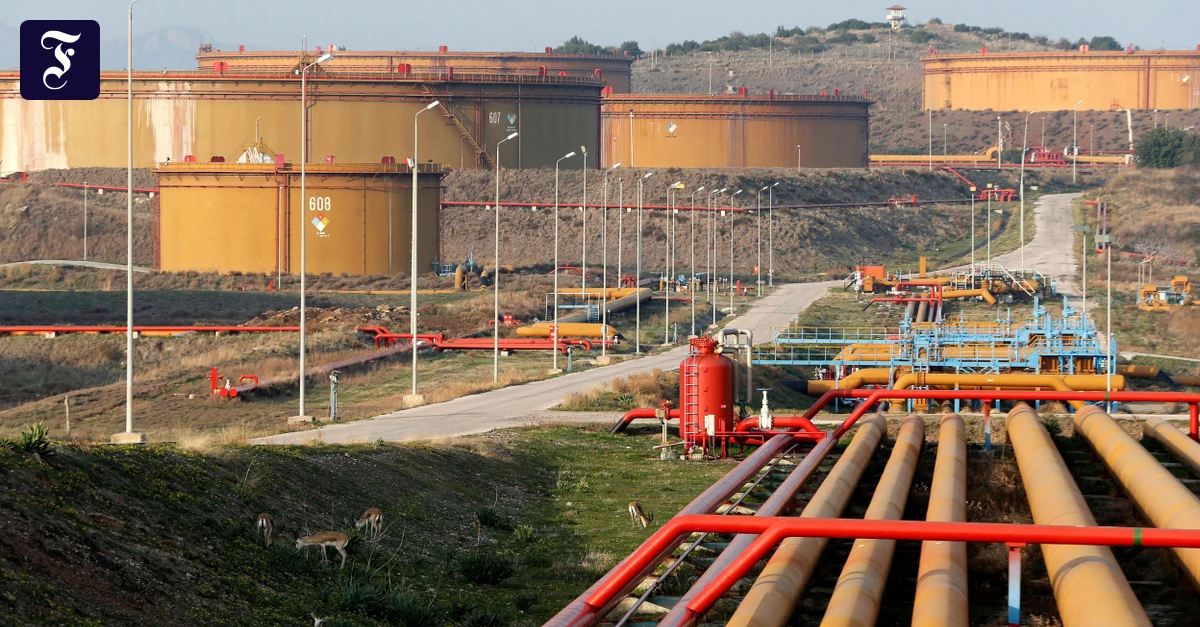 Folgen des Golf-Kriegs: Erdoğan greift an der Tankstelle durch