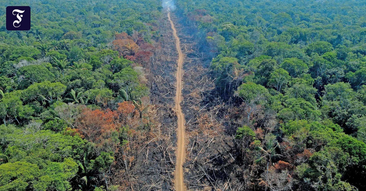 30 Prozent der Erde sollen unter Naturschutz gestellt werden