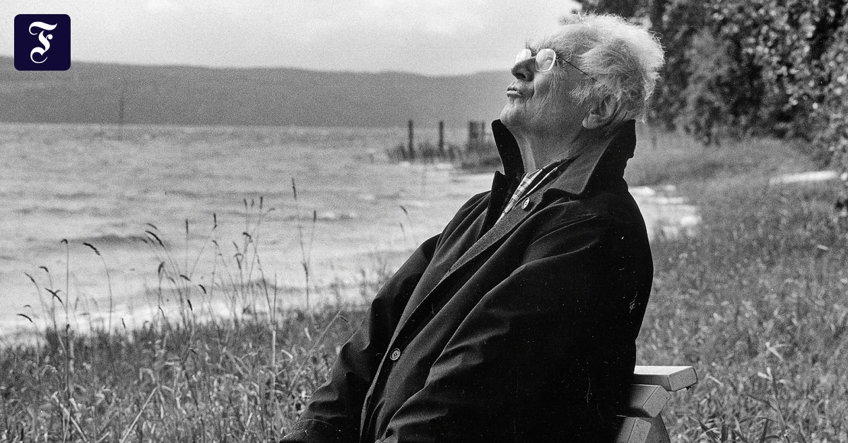 J-rg-Magenau-ber-Walser-Unser-war-er-nie-der-Martin-nur-im-See