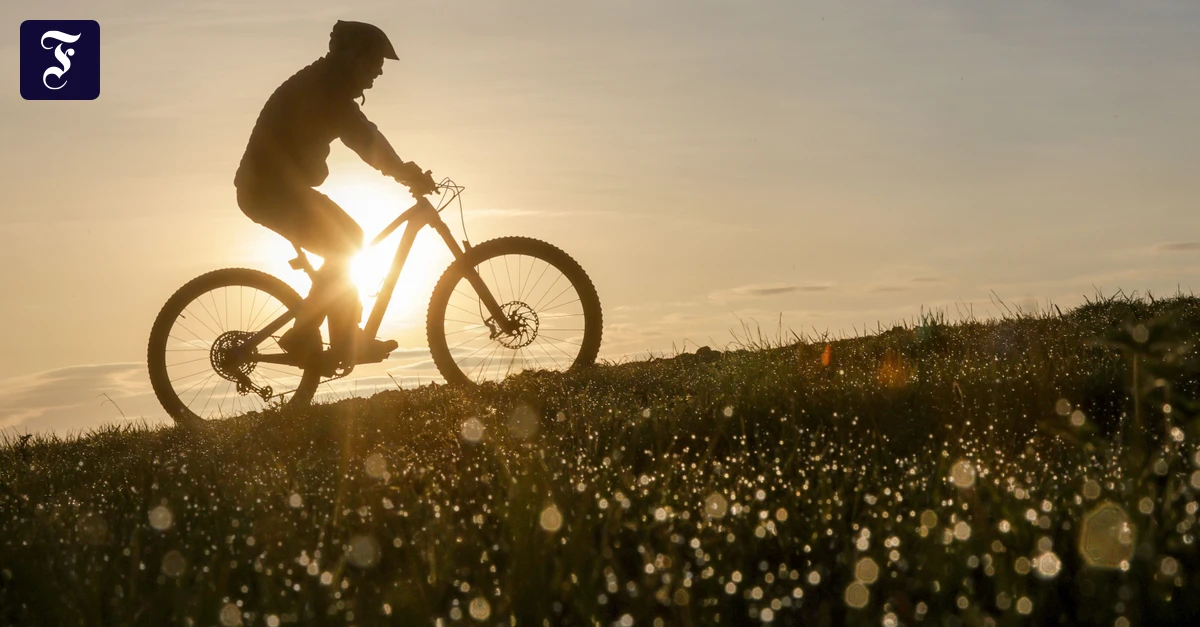 Fahrradmesse Düsseldorf: Rad vom Rhein