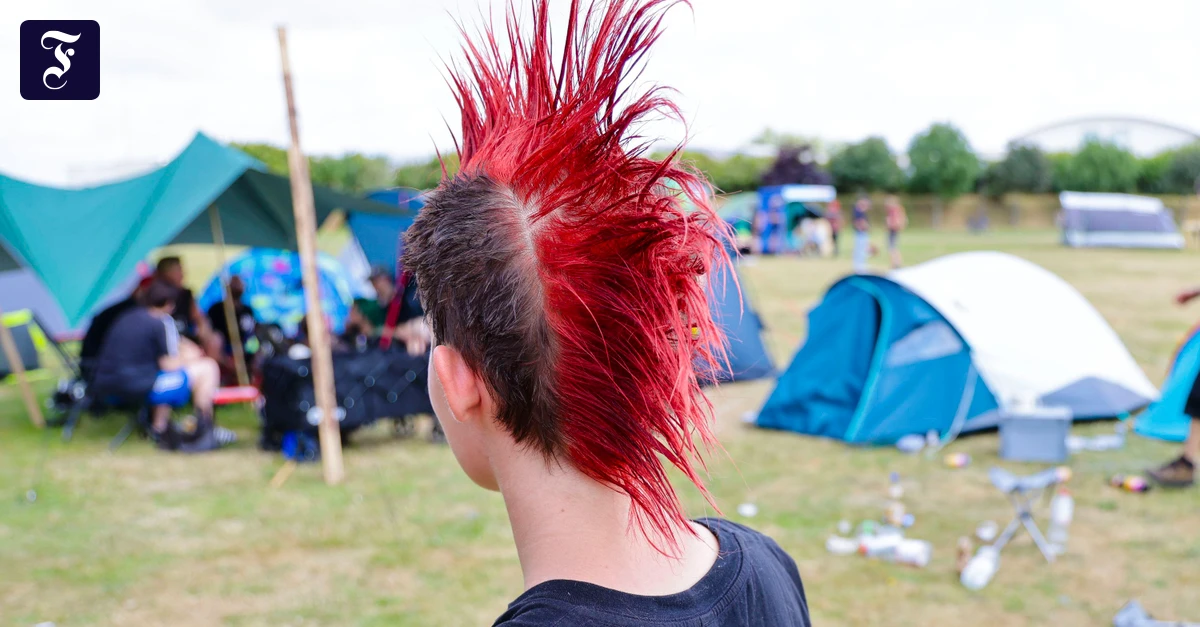 Politische Bücher: Der Punk – eine der wirkmächtigsten Sozialfiguren unserer Zeit