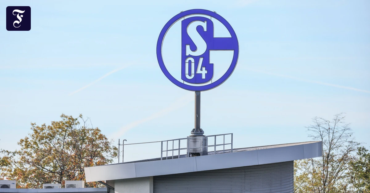 Ausgabe-einer-Anleihe-90-Millionen-Geldregen-f-r-Schalke