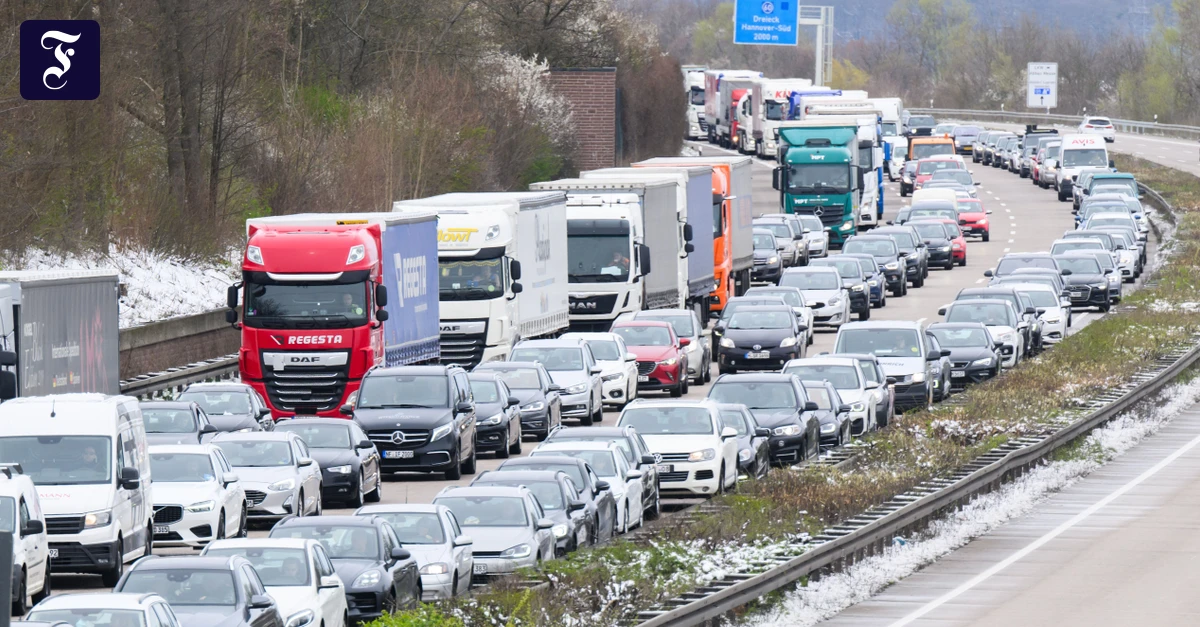 Was wird teurer?: Eier und Obst stark verteuert
