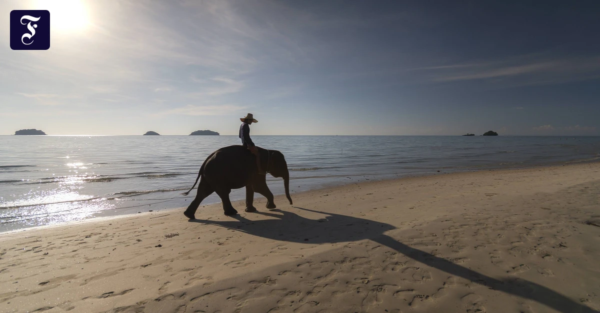 Reise-durch-S-dostasien-Ferien-f-r-Fortgeschrittene
