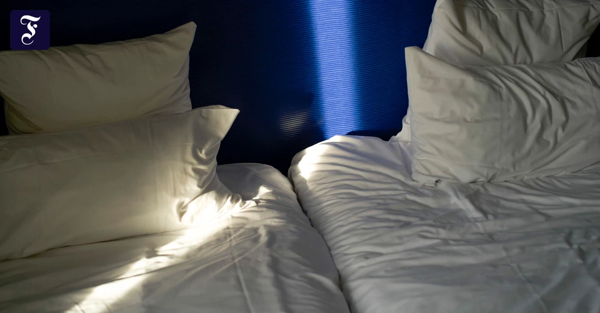 Update-von-Betroffener-Die-Bettwanzen-sind-immer-noch-da