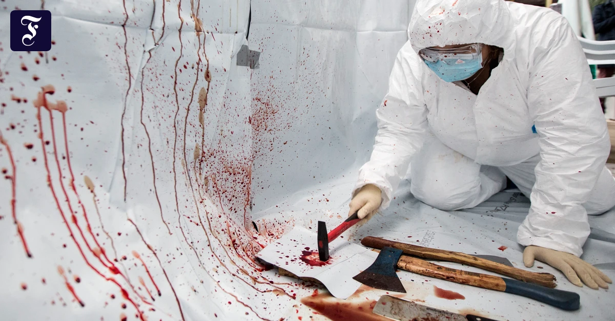 F-r-Horror-Fans-Eine-Badewanne-voller-Blut