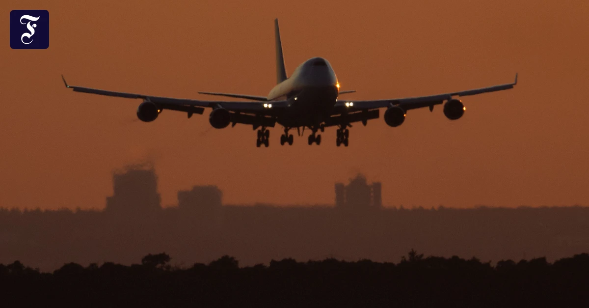 Airport malaria in Frankfurt: The mosquitoes are just the vanguard