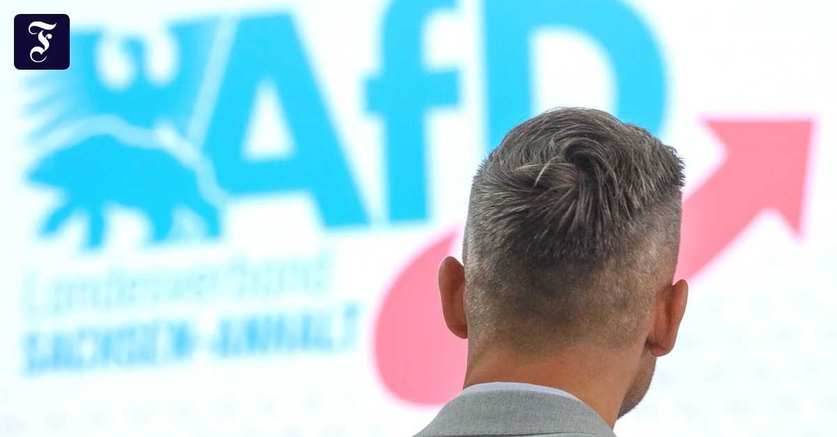 „Patriotische Kulturpolitik“: AfD will neues Bildungssystem in Sachsen-Anhalt