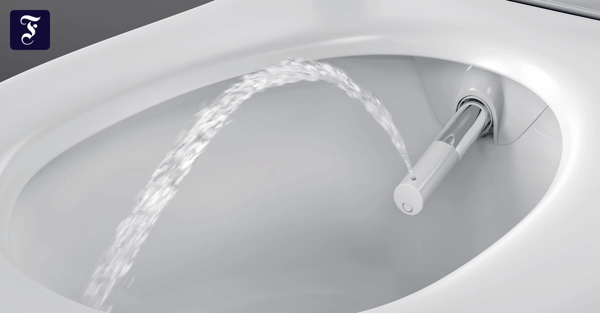 Dusch-WC-Da-haben-Sie-null-Reizung-