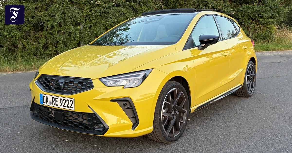 Fahrbericht-Seat-Ibiza-FR-Totgesagte-feiern-l-nger