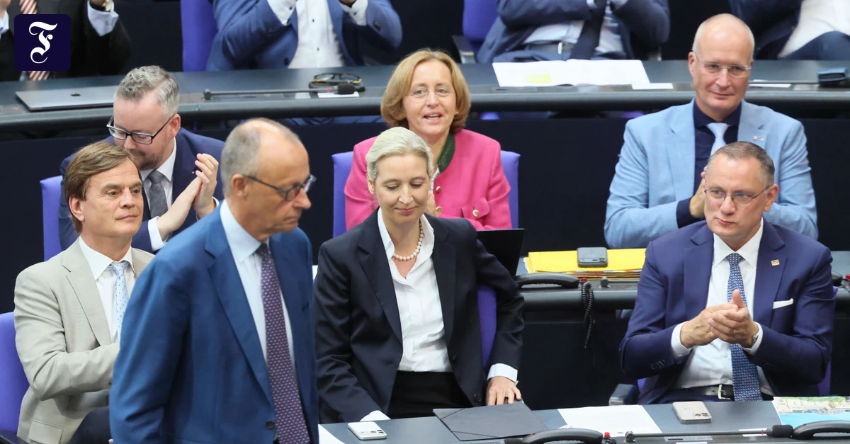 Merz wanted to halve the AfD: Did he believe it himself?