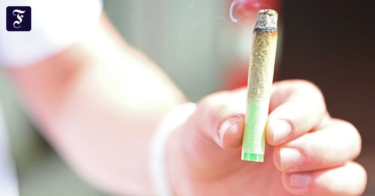 Teillegalisierung: Ärzte kritisieren Cannabis-Zwischenbericht