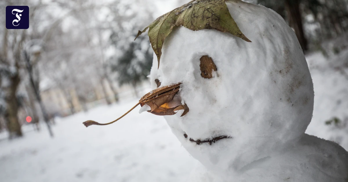 Rechte der Natur: Gebt der Arktis ihr Recht