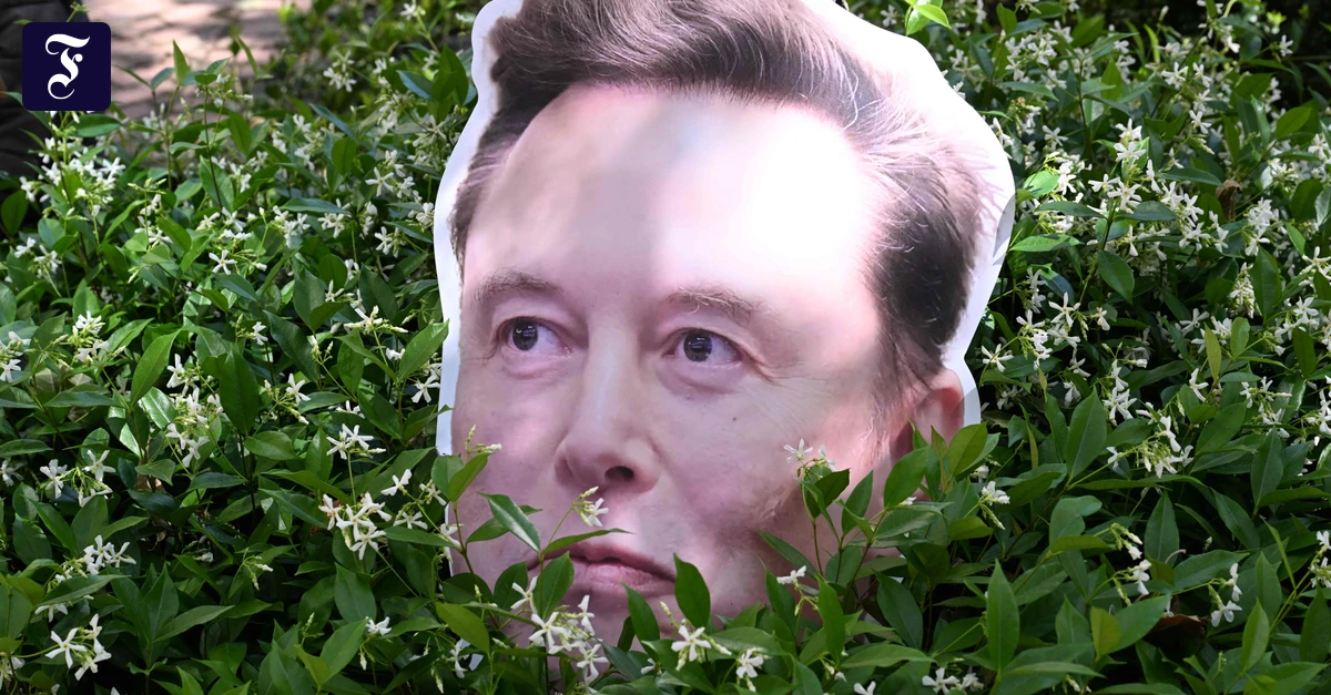KI von Elon Musk: Grok grokkt nicht mehr