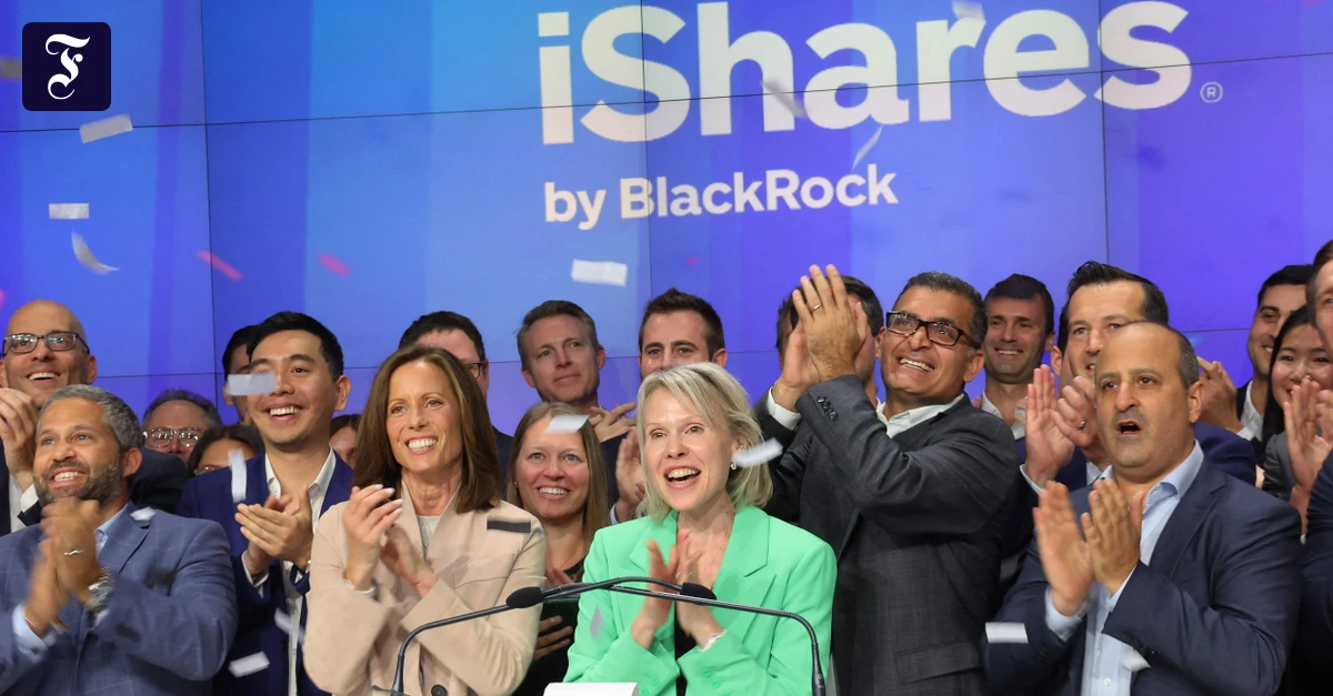 Gr-e-und-Preis-ma-geblich-Diese-ETF-stehen-in-den-Profi-Depots-ganz-oben