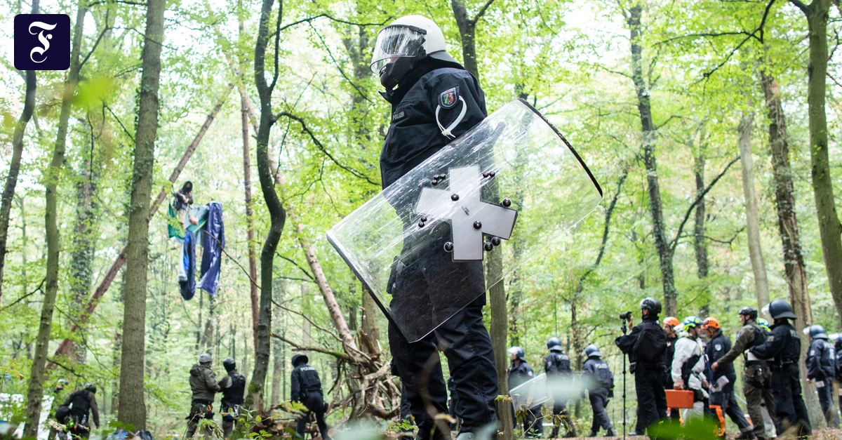 Hambacher Forst: Der „Hambi“ soll jetzt Urwald werden
