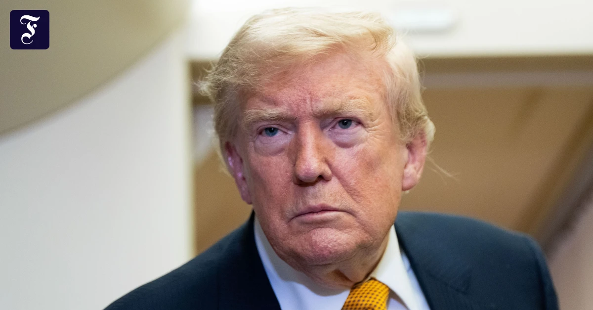 USA unter Trump: Trump beharrt auf ICE-Fahrzeugkontrollen