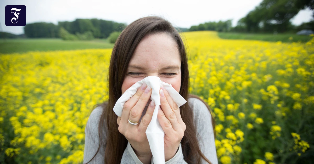 Alarm-f-r-Allergiker-Im-Westen-Deutschlands-leiden-Pollenallergiker-jetzt-schon