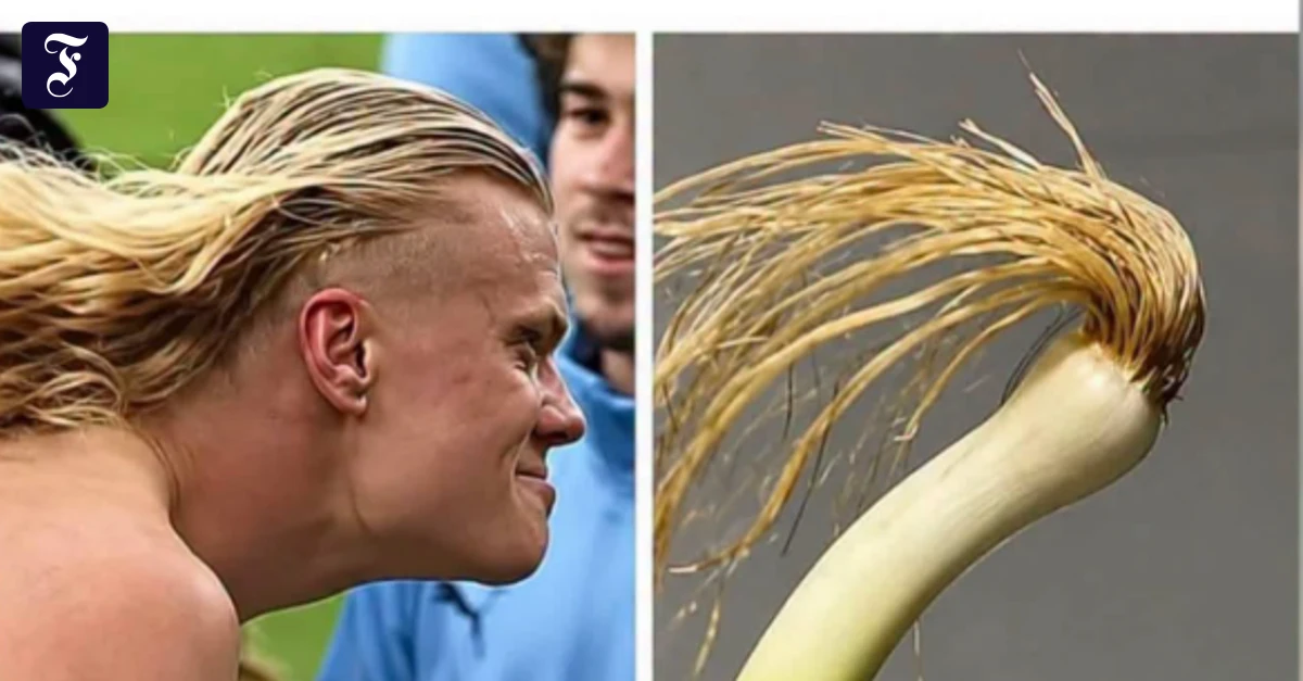 Erling-Haaland-im-Netz-Der-blonde-Mann-mit-der-Lauchfrisur