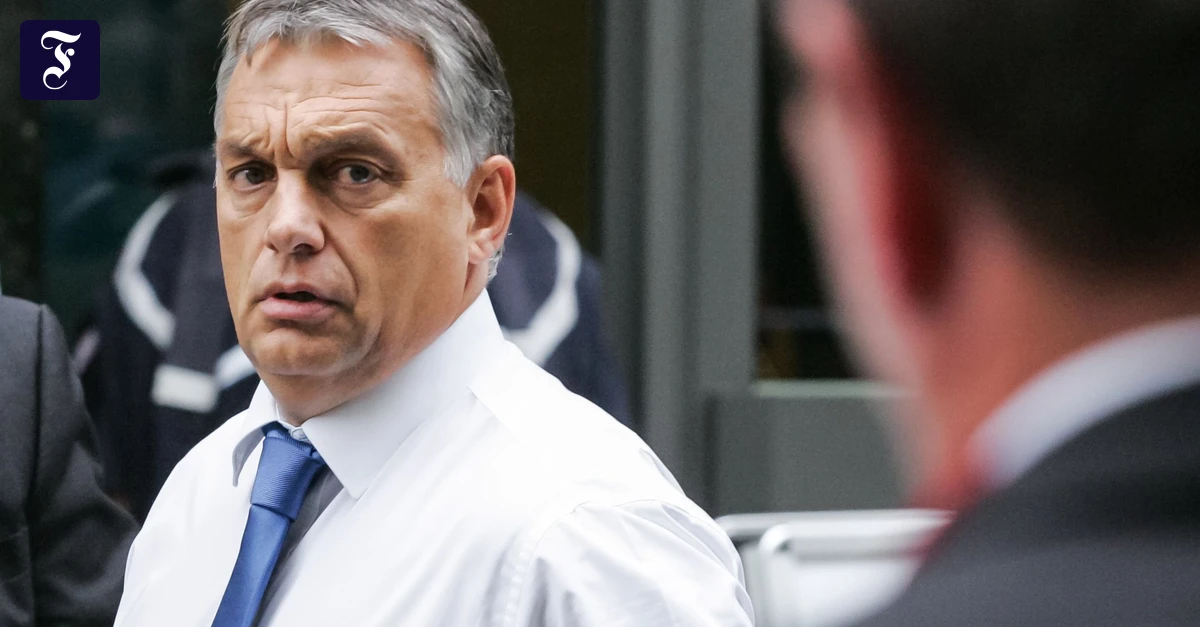 Ungarn vor den Wahlen: Wie junge Medienmacher Victor Orbán ins Wanken brachten