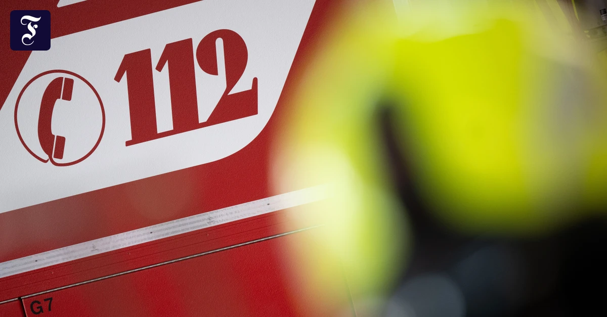 Major fire at equestrian center in Heusenstamm: Animals rescued