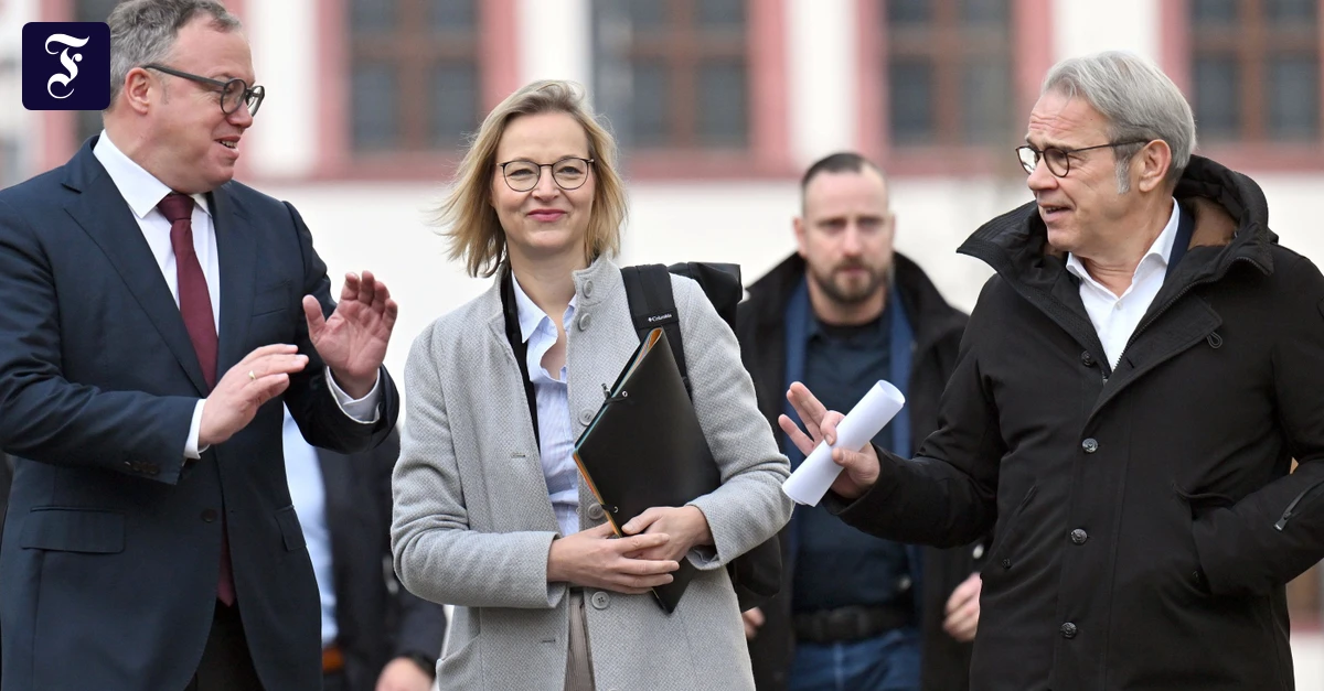 Brombeer-Koalition-Bei-Licht-betrachtet