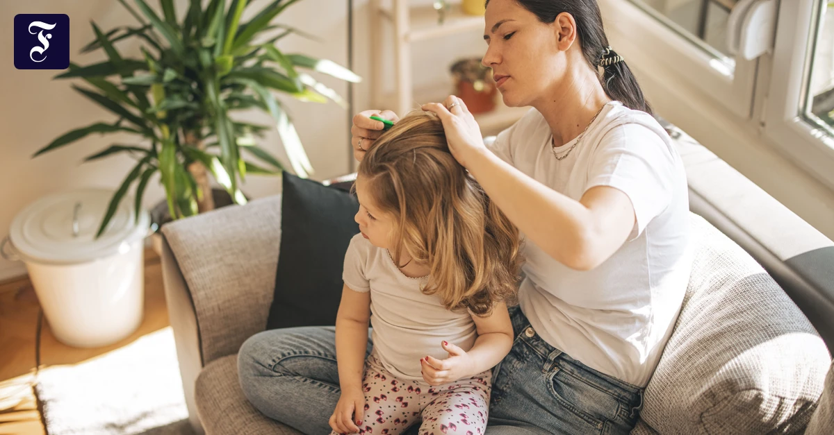 Kopfläuse bei Kindern: „Jede Familie kriegt es irgendwann“