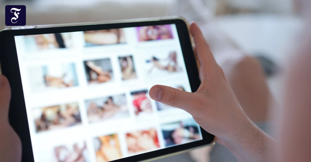 EU-Druck auf Musks KI Grok wächst