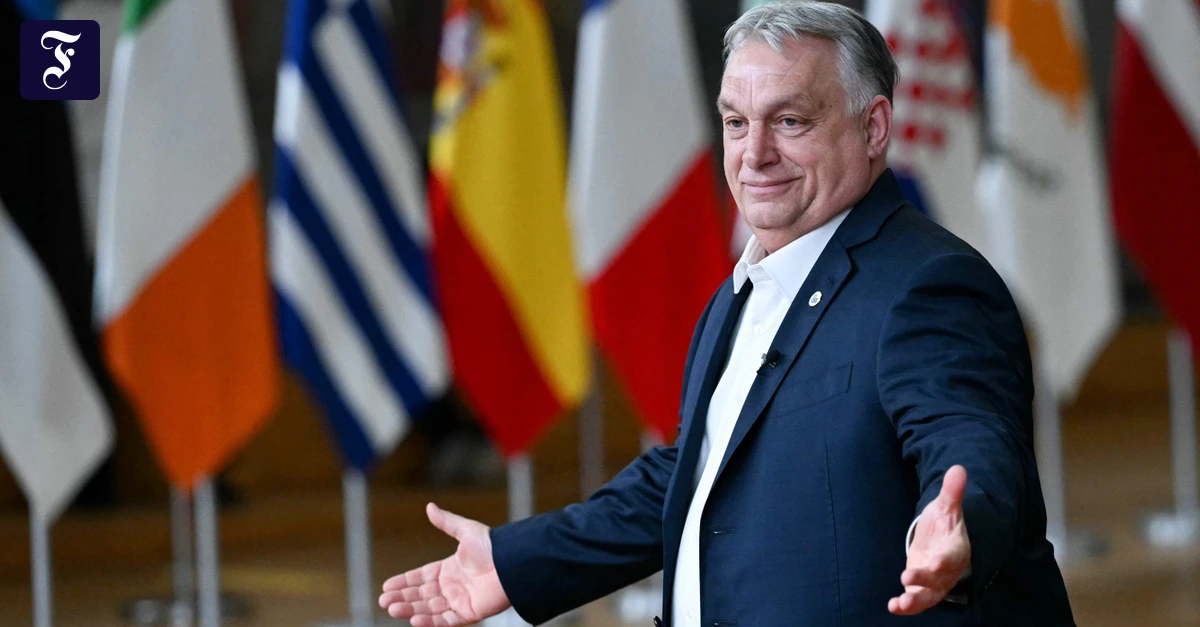 Drohungen gegen Ungarn: Orbáns unfreiwillige Helfer