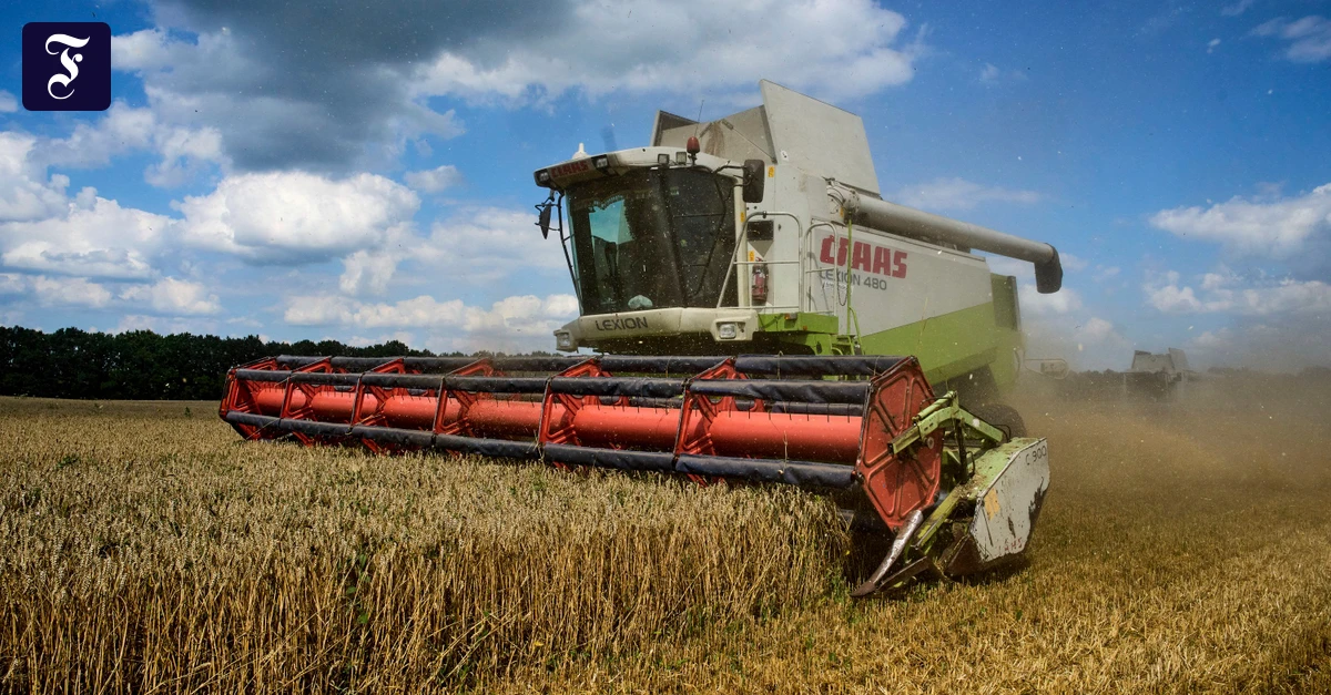 Große Biogaslücke: Wie Deutschland sich bei der Heizungswende ein Bein stellt