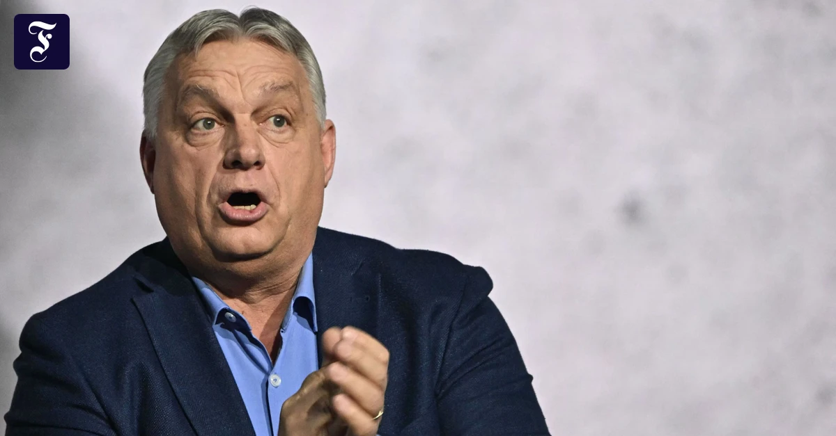 Migrationspolitik-Ungarn-will-nur-sabotieren