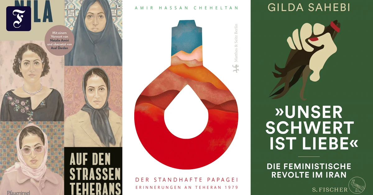 bücher zum Irankrieg: Diese sieben Bücher helfen, die Lage in Iran zu verstehen