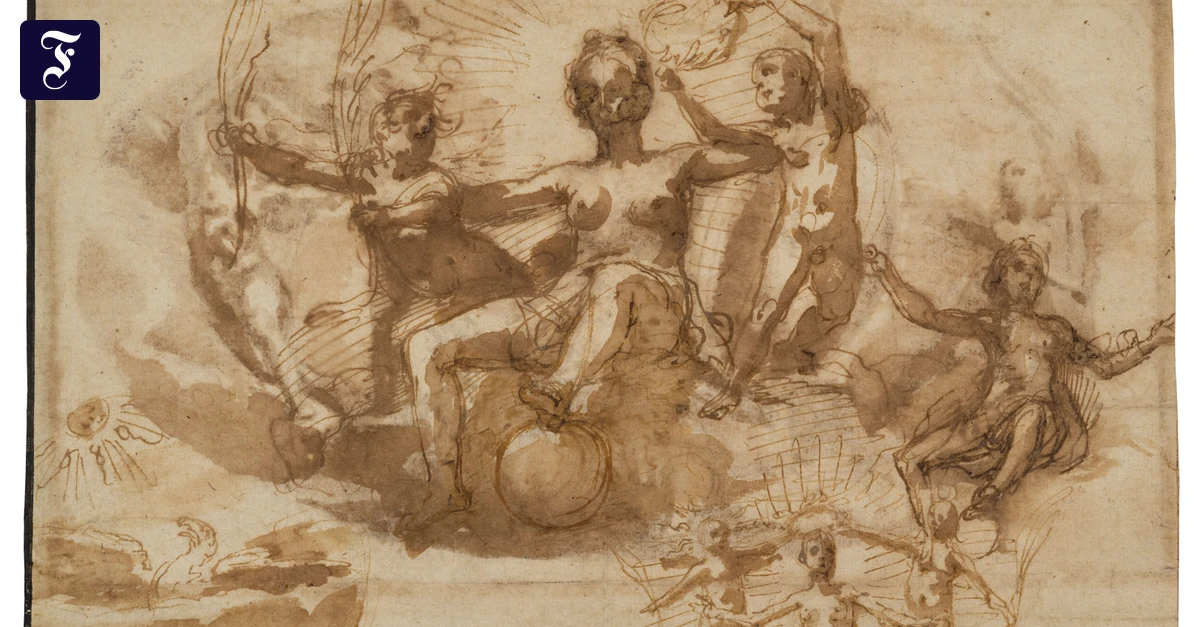 Neu identifizierte Meisterwerke in Würzburg: So viel mehr als altes Papier