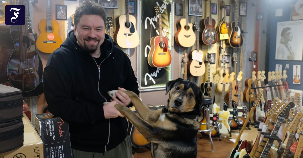 Christian-Elsner-ber-Gr-nland-Im-Moment-bin-ich-froh-dass-wir-D-nemark-haben-