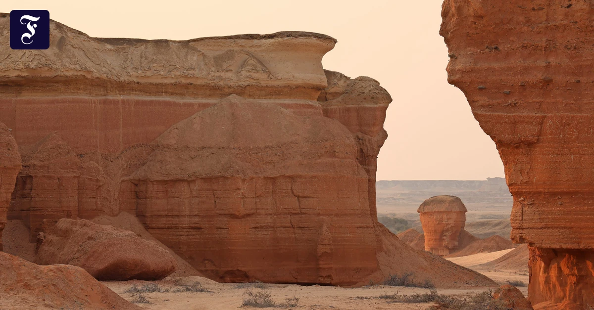 Neues-Safari-Ziel-Allein-mit-der-Tierwelt