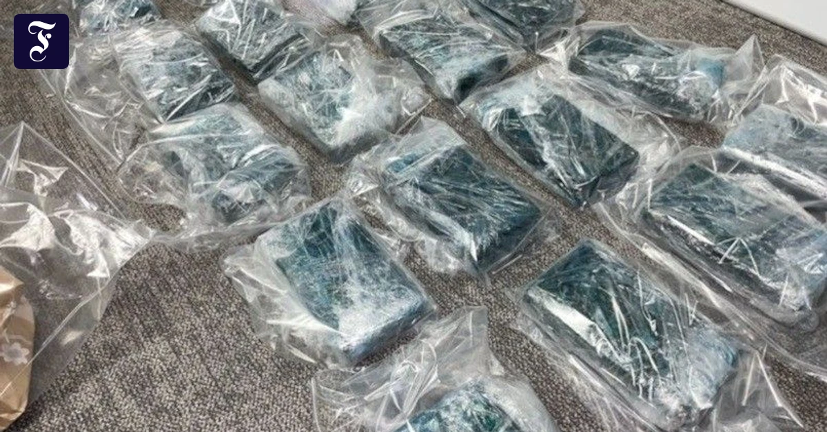 Rauschgiftschmuggel: Wenn leer stehende Immobilien als Drogenbunker genutzt werden