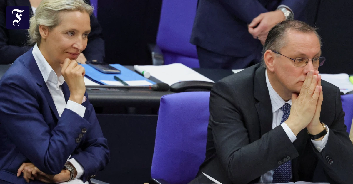 Eine andere AfD?: Träum weiter diesseits der Brandmauer!