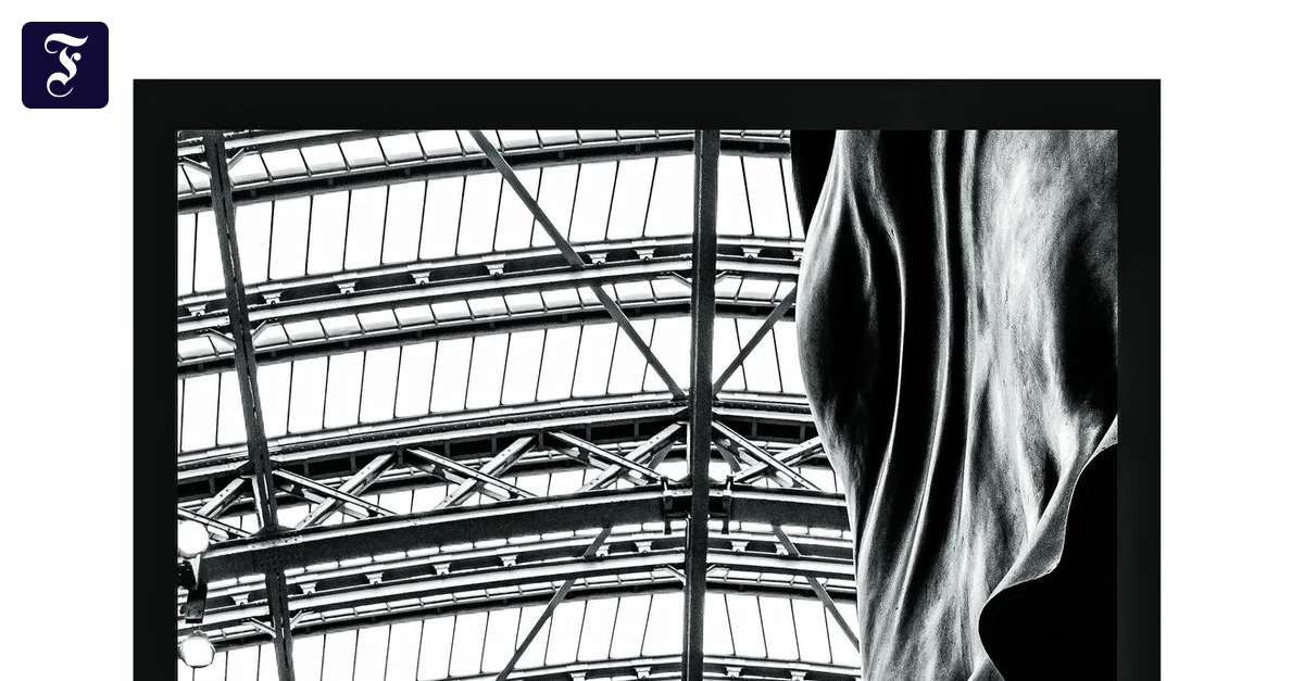 Der Bildband „London vertical“ des Fotografen Horst Hamann | FAZ