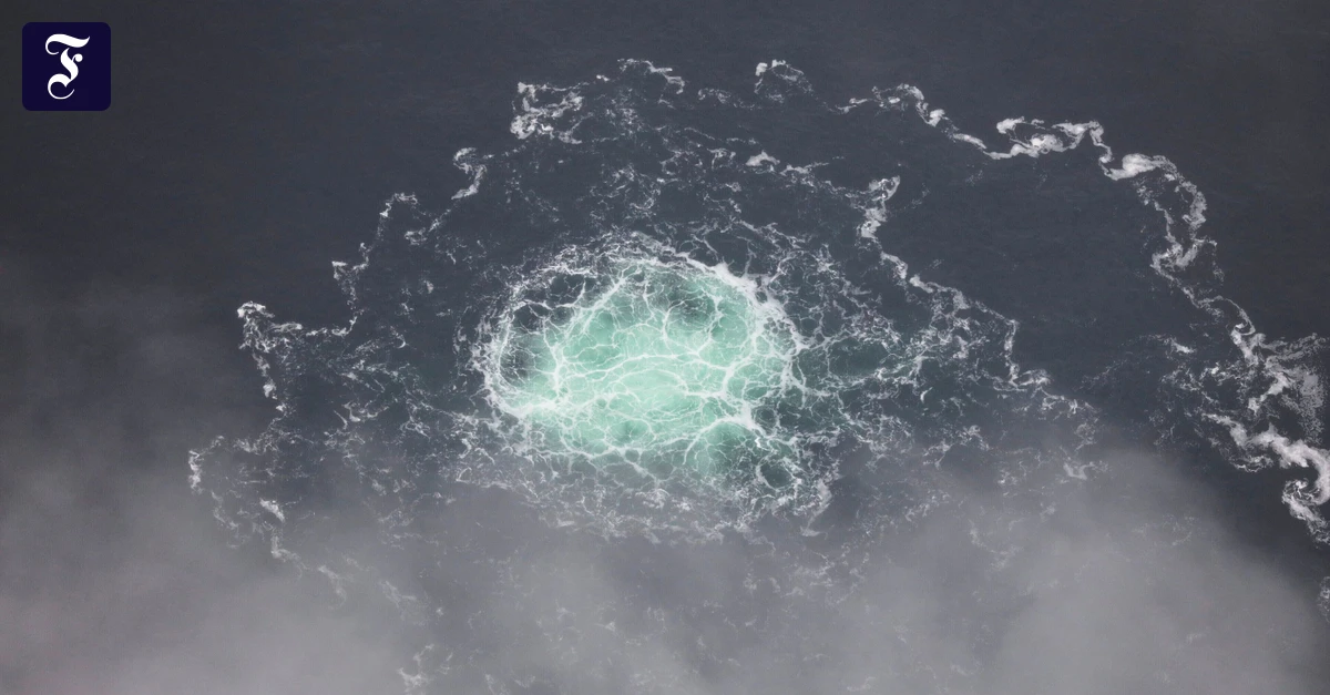 Anschlag-auf-Nord-Stream-Serhij-K-will-bei-Prozess-in-Deutschland-auf-funktionelle-Immunit-t-pochen