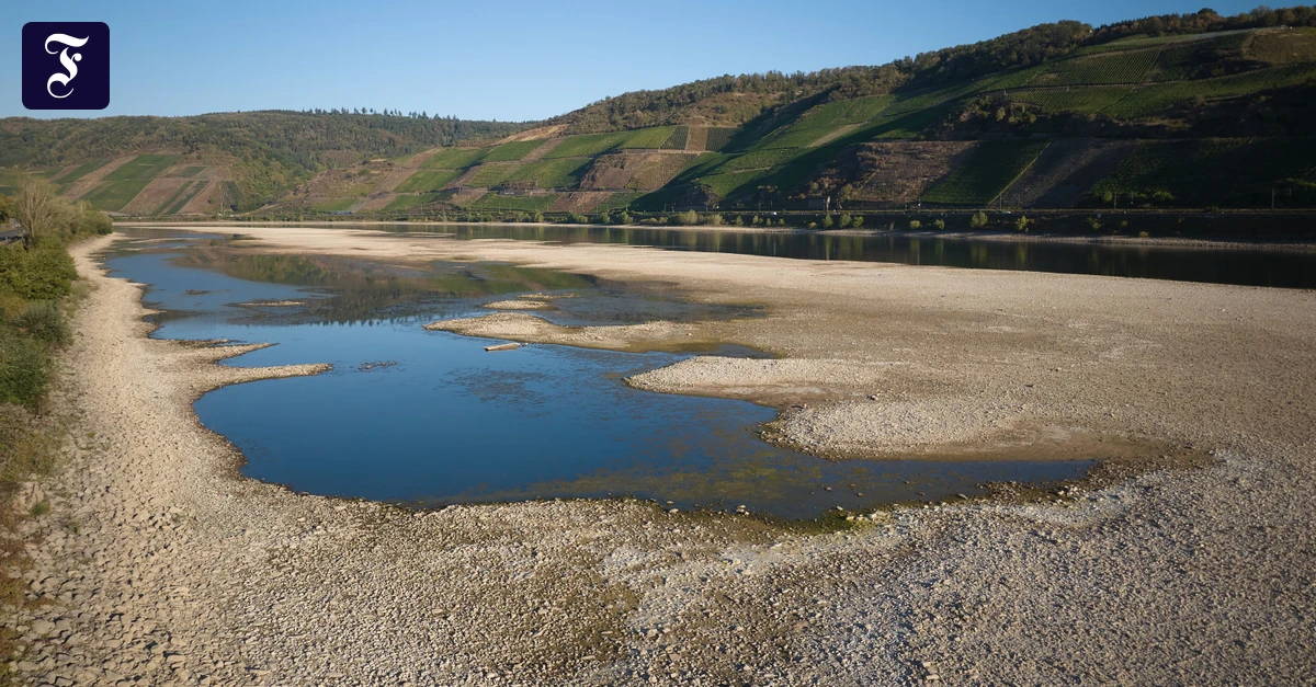 Niedrigwasser: Ein Tropfen auf den heißen Stein
