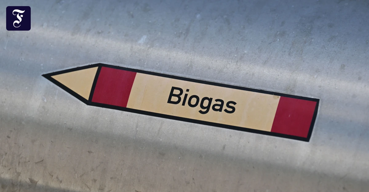 Gemeinschaftsprojekt: Biogasanlage soll von 2029 an Abfall in Energie verwandeln