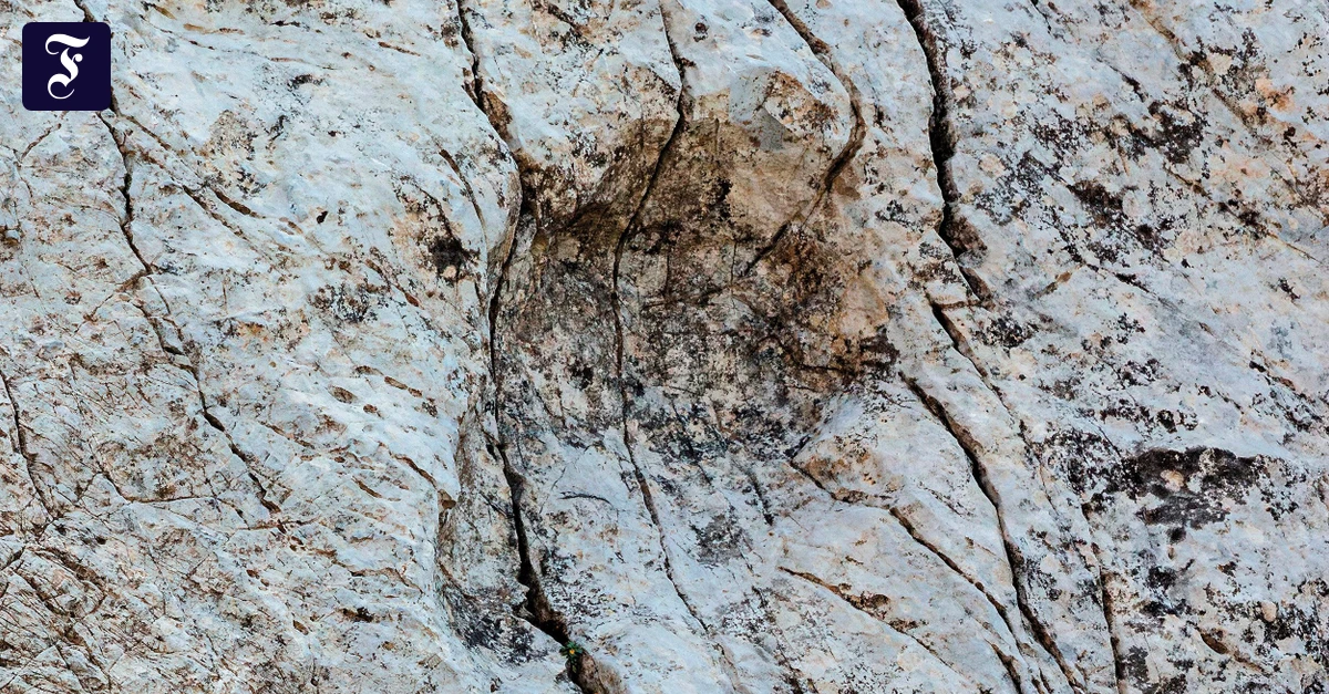 In Norditalien: Forscher entdecken einzigartige Dinosaurier-Spuren