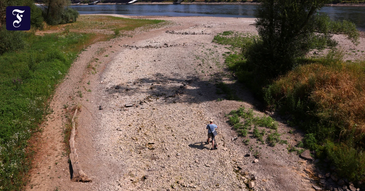 Dürre: Niedrigwasser lässt Ahr-Zufluss in den Rhein versiegen