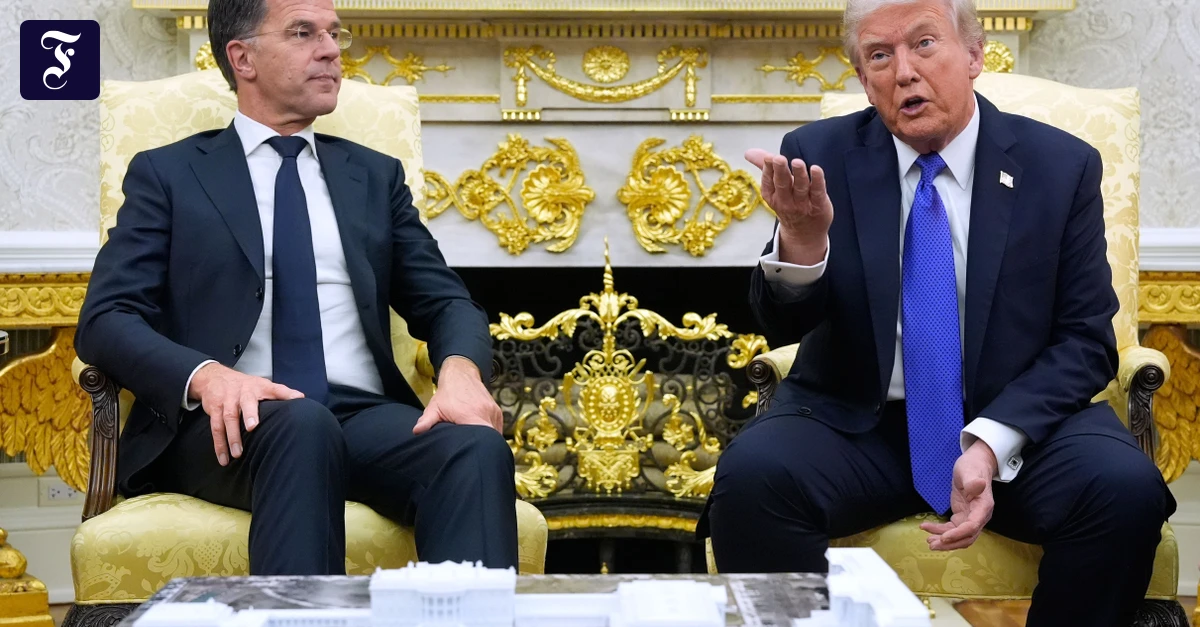 Die USA besch&auml;digen die Glaubw&uuml;rdigkeit der NATO